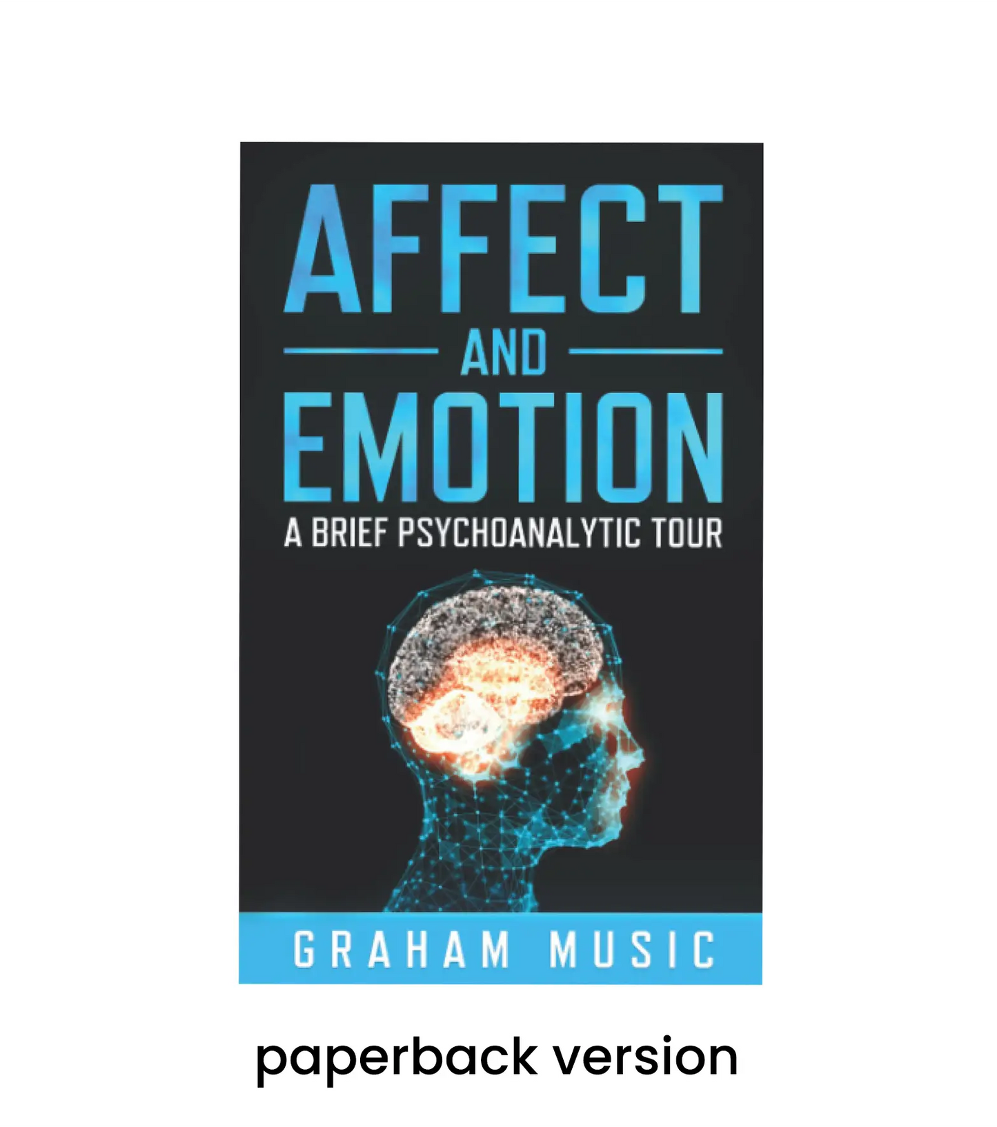 Direct Sales: Affect and Emotion: A Brief Psychoanalytic Tour (paperback 2022)