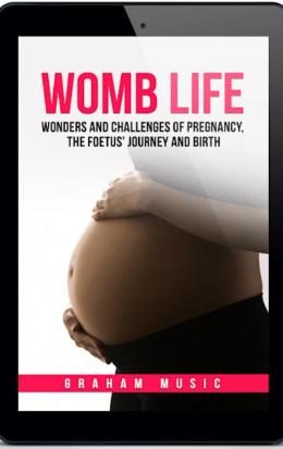 Womb Life: Wonders and challenges of pregnancy, the foetus' journey and birth (ebook)