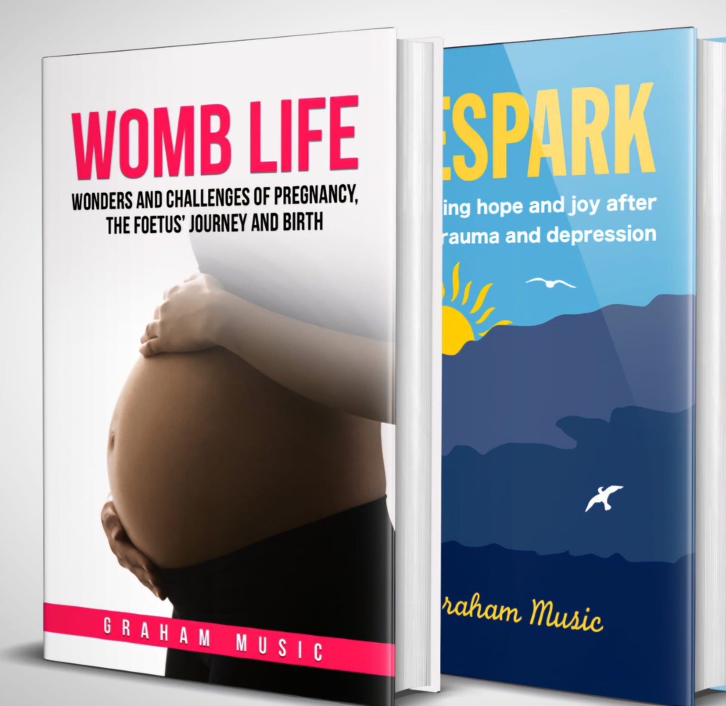 Hardback bundle
