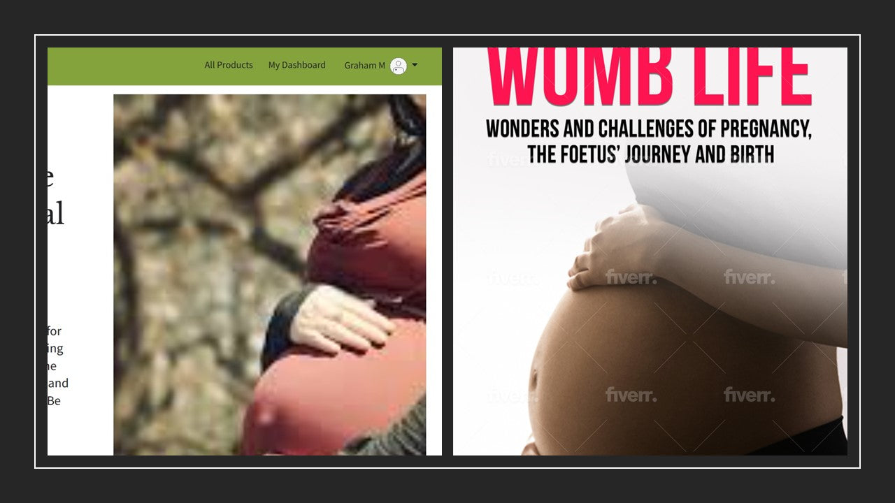 Womb life  bundle of book and online course, Why life before Birth is so crucial to later experience